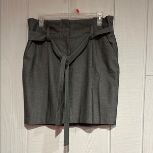 The Limited Elegant Gray Women's Skirt